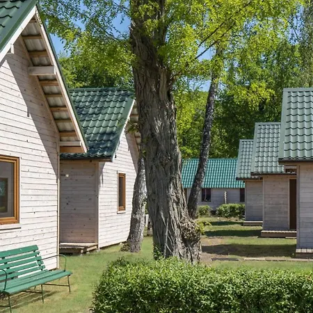 Кемпинг O.w.cynamon Дзивнув