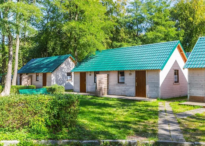 O.w.cynamon キャンプ場